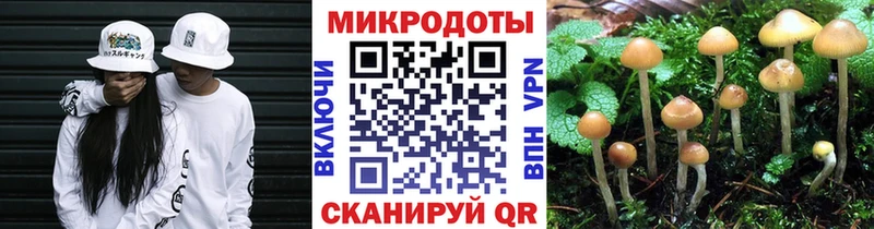 где можно купить   Одинцово  Галлюциногенные грибы прущие грибы 